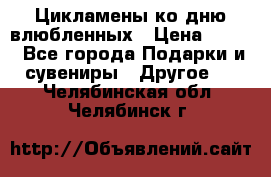 Цикламены ко дню влюбленных › Цена ­ 180 - Все города Подарки и сувениры » Другое   . Челябинская обл.,Челябинск г.